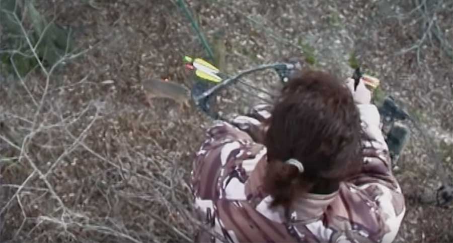 funny deer hunt