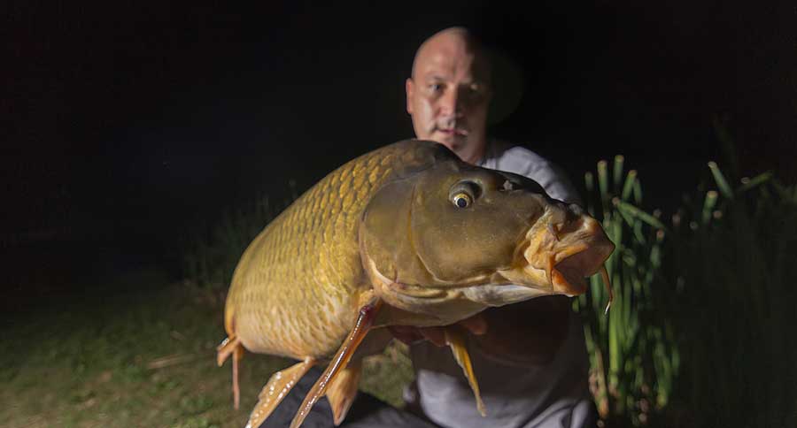 'Trash Fish' Don't Deserve Such a Bad Reputation - Wide Open Spaces