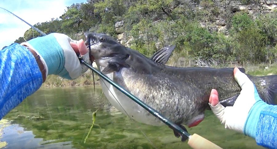 Fishing Gear for Catfish That You'll Want on Hand - Wide Open Spaces