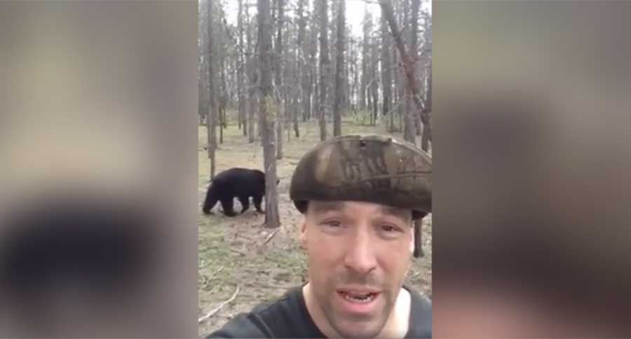 nocturnal bears