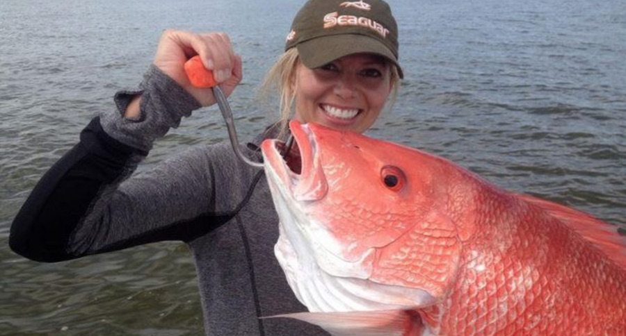 red snapper