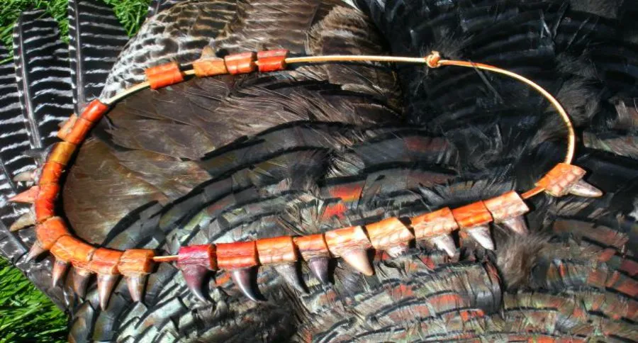 turkey spurs