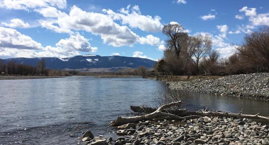 yellowstone river