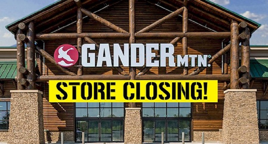 gander mountain