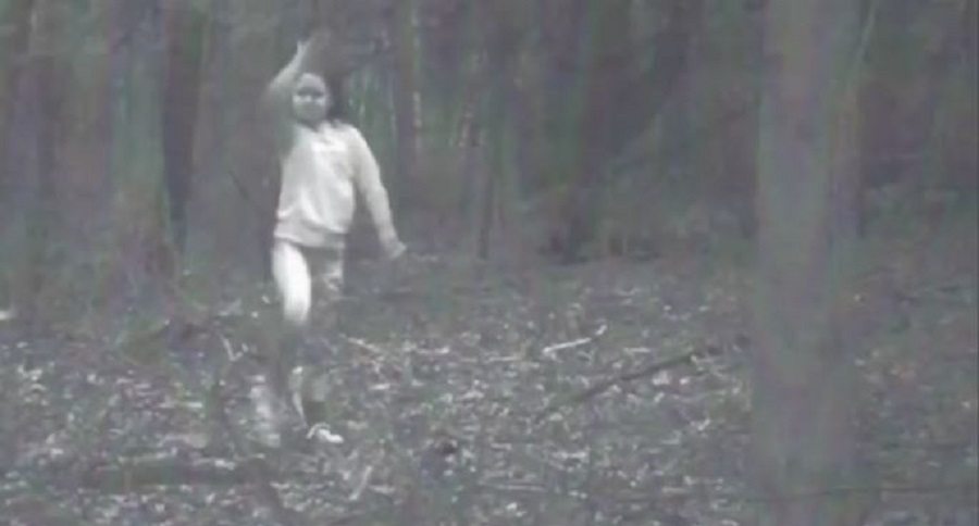 mysterious trail cam pic