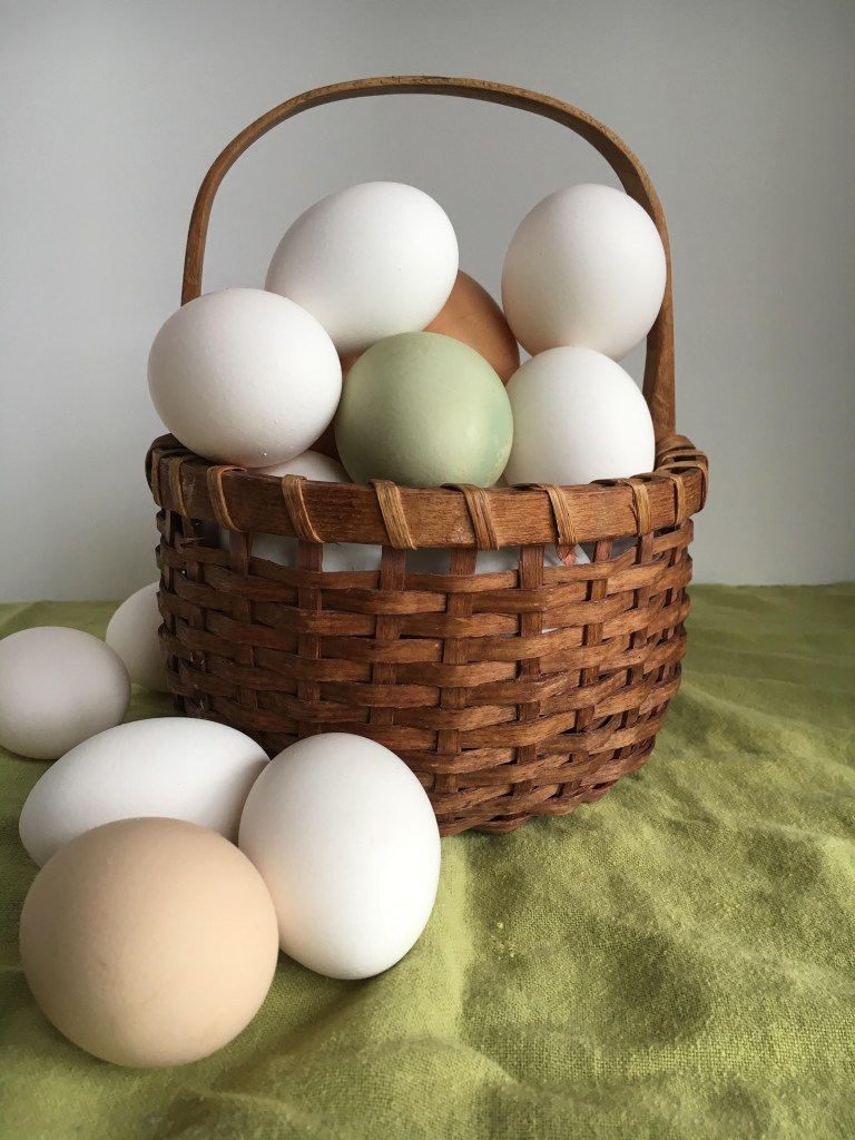 free range eggs healthier?