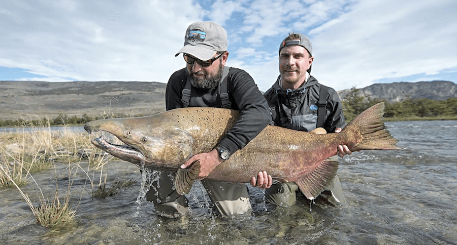 king salmon
