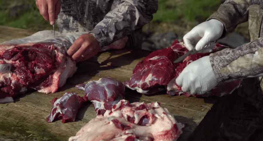 trichinosis