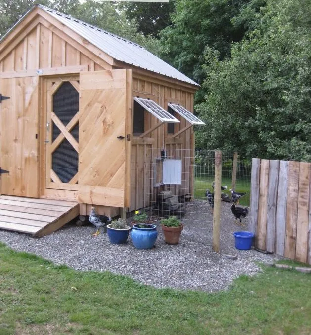 Chicken Coop