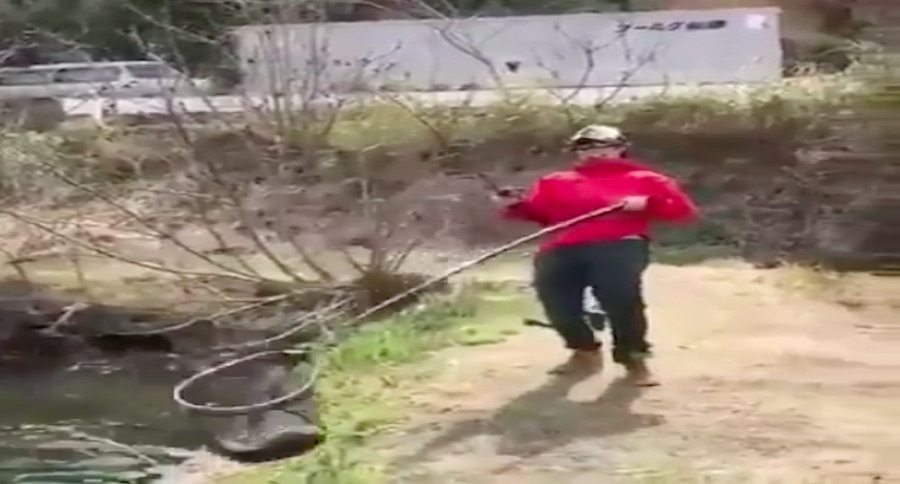 telescopic landing net