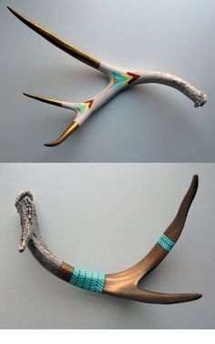 shed antler