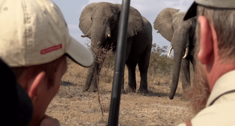 shoot an elephant