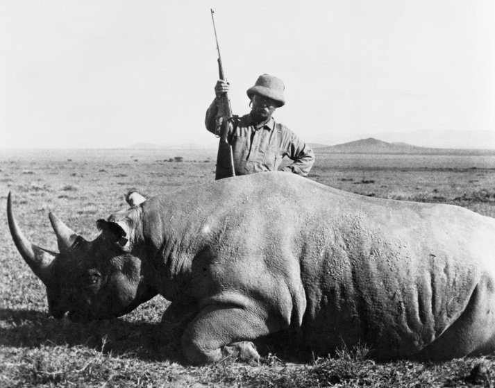 Corbis via Timeshows Theodore Roosevelt standing over the dead rhino. —- Image by © Corbis