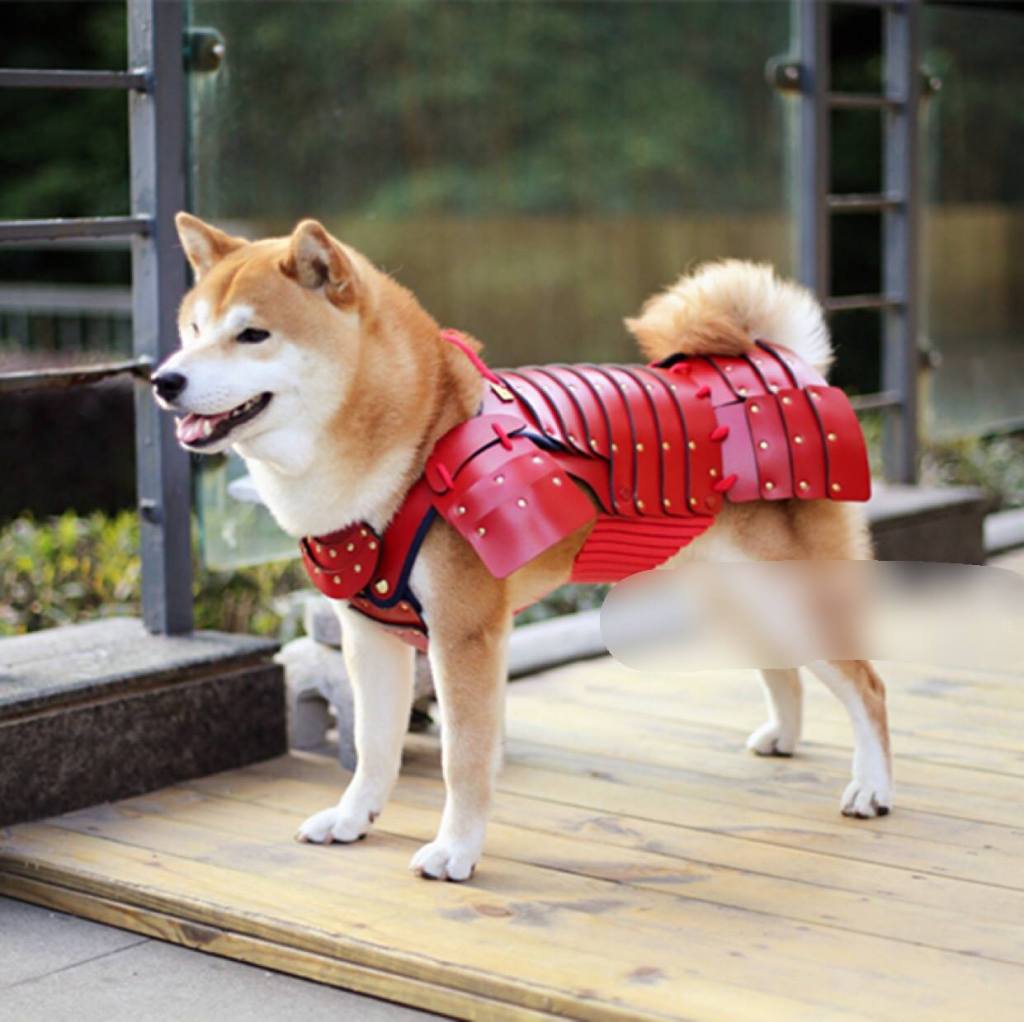 Samurai Age shiba inu samurai armor