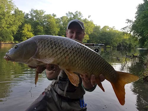 fly fishing for carp