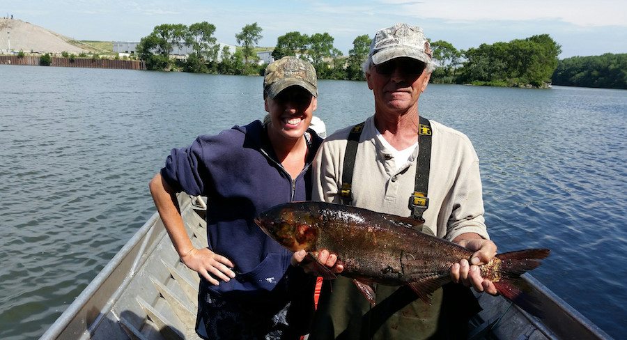 Asian carp