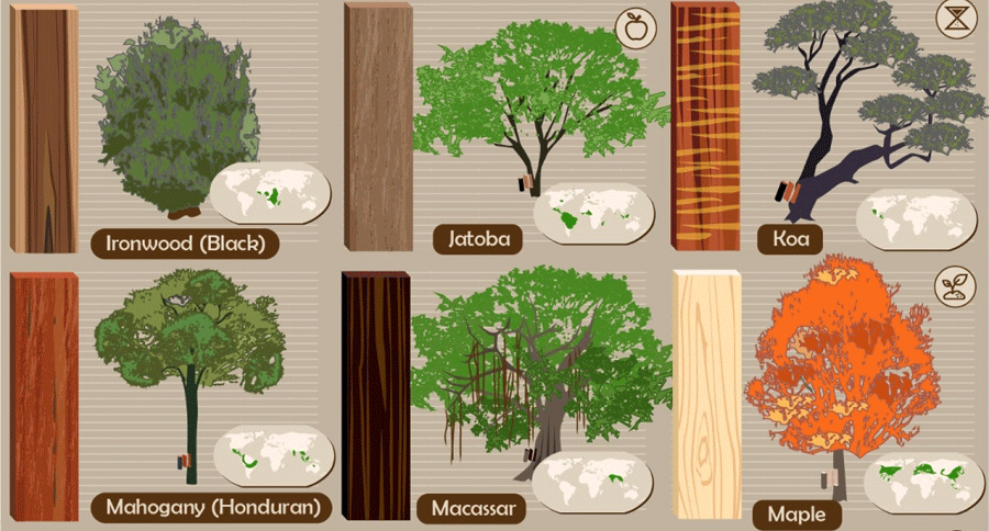 know your forest