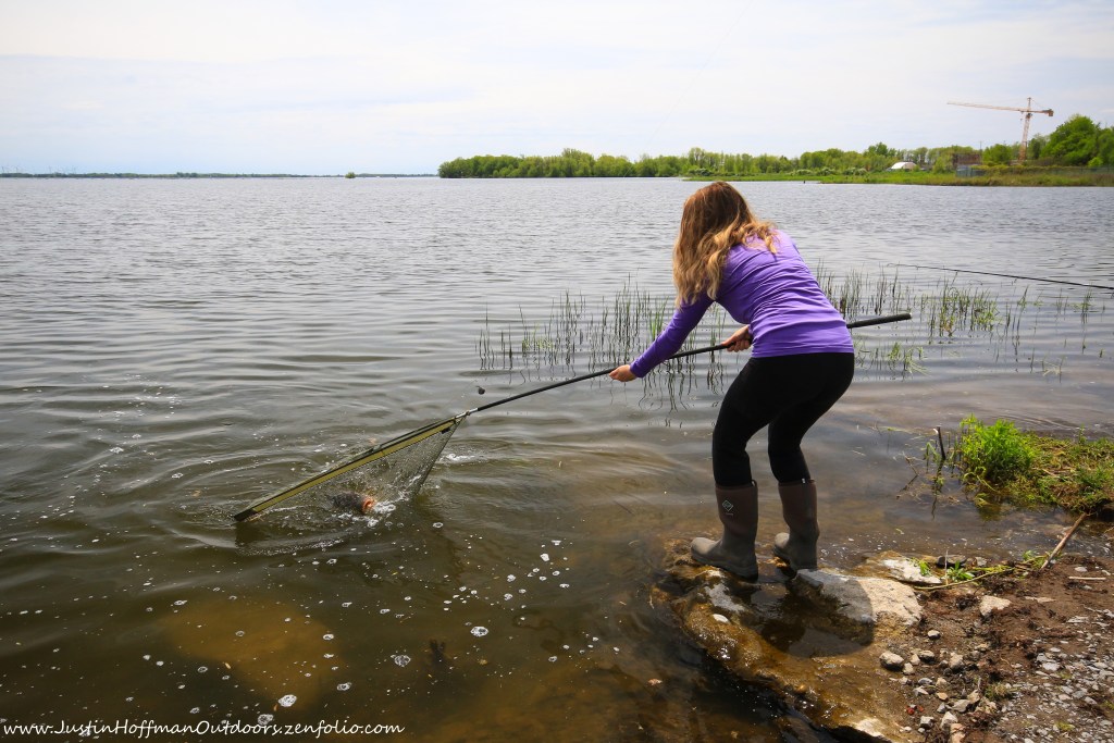 carp fishing