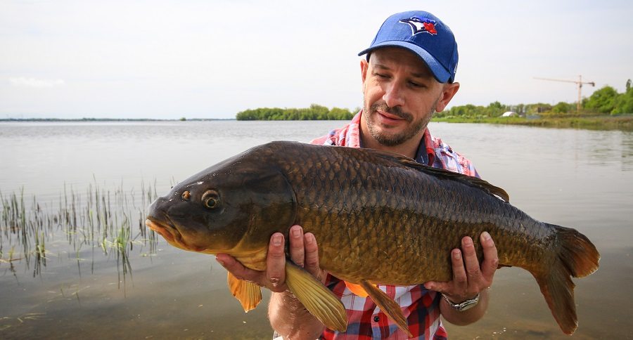 carp fishing