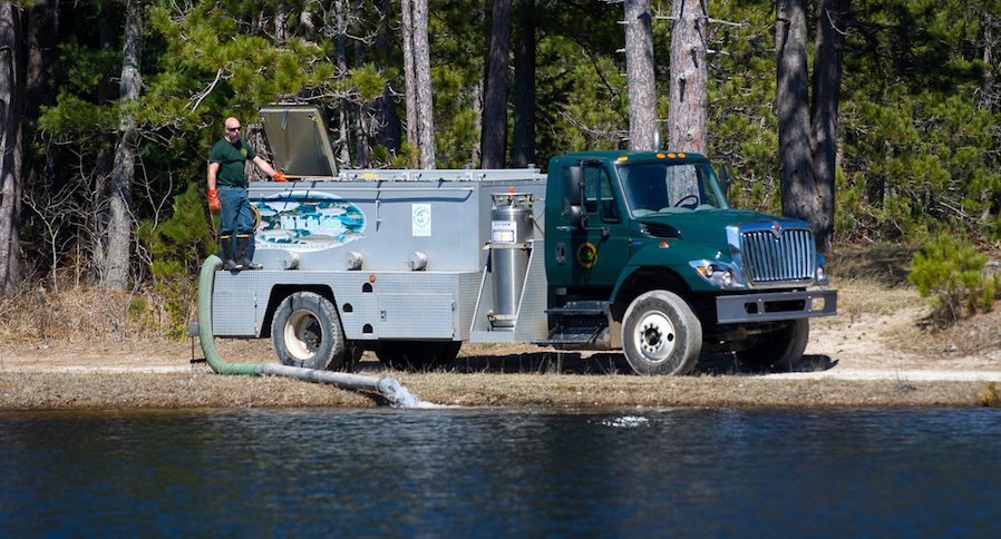 fish stocking