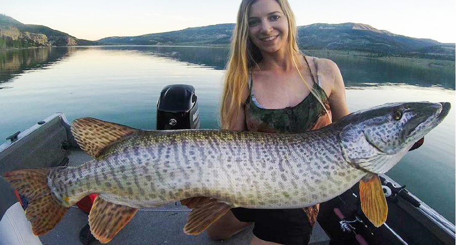 tiger muskie