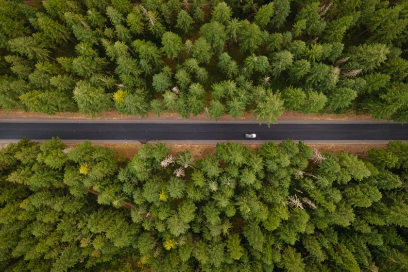Top down drone view of scenic road through pine trees in the Mount Hood National Forest in Oregon in the summer.
