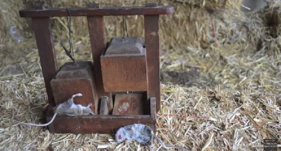 deadfall mousetrap