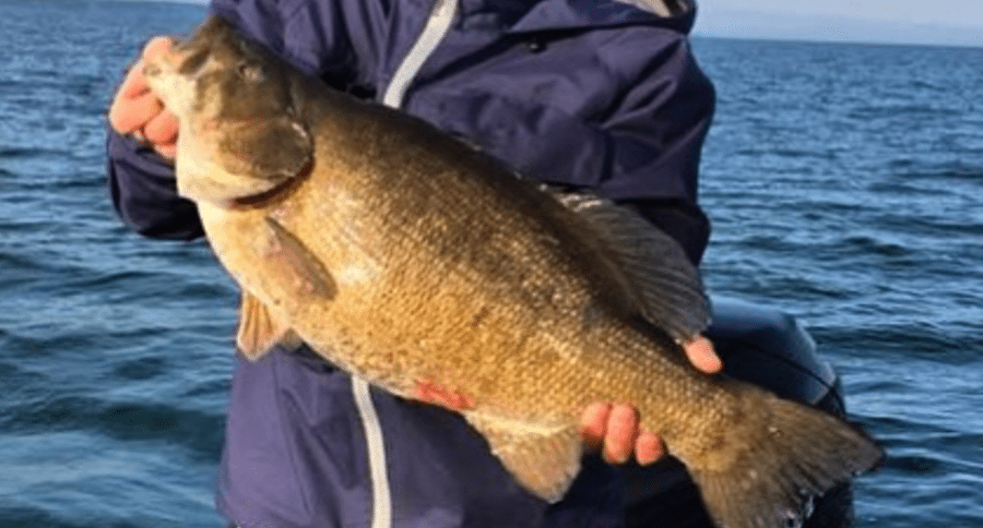 smallmouth record