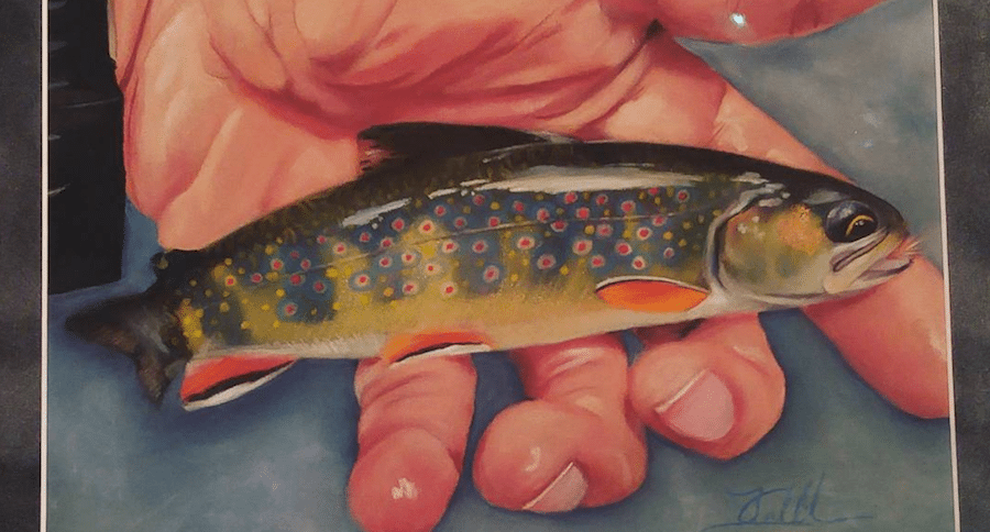 fly fishing artwork