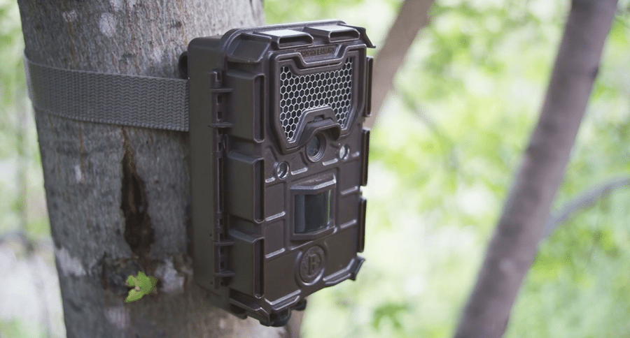 trail camera