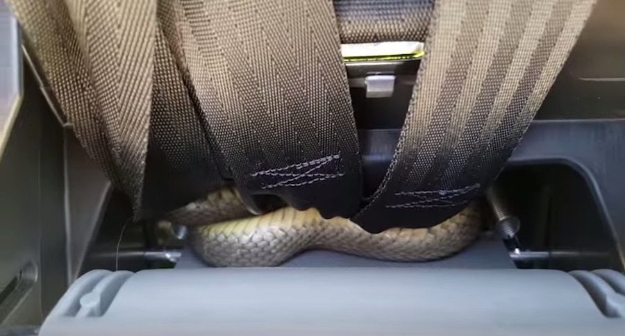 car seat