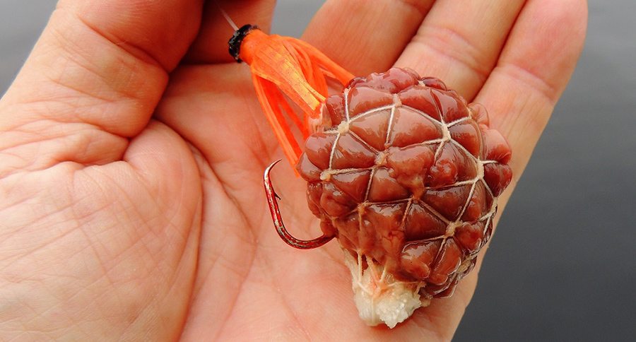 Is This the New Way to Fish with Chicken Livers? - Wide Open Spaces