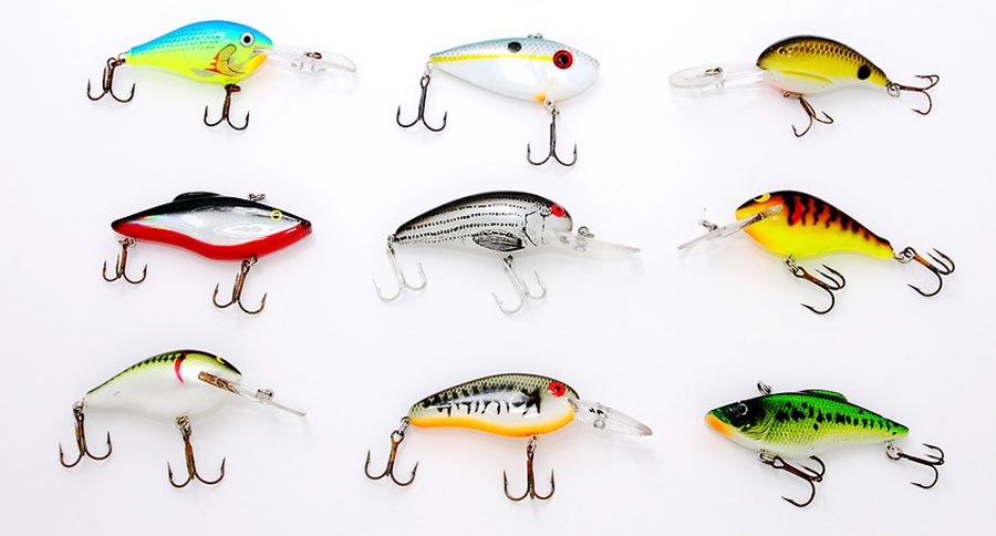 Best Live Bait for Freshwater Fishing - Fishmaster Blog