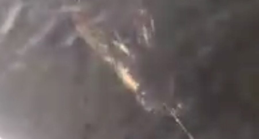 monster alligator