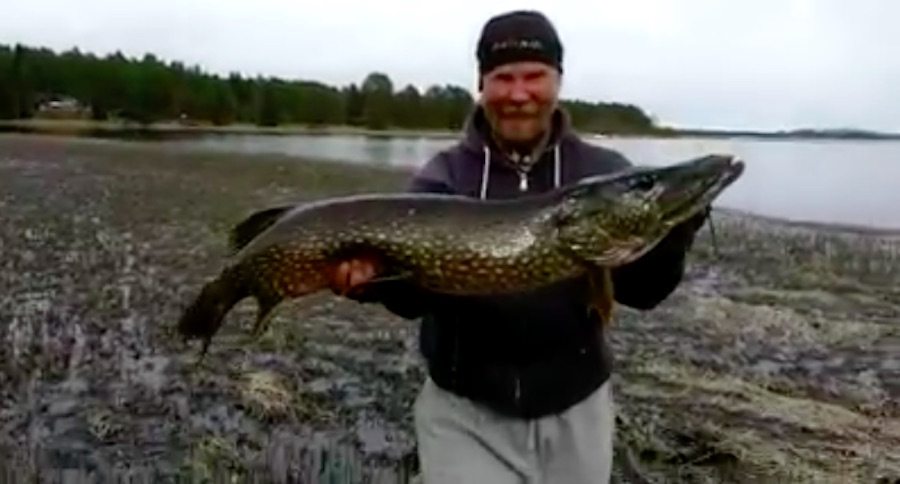 big pike