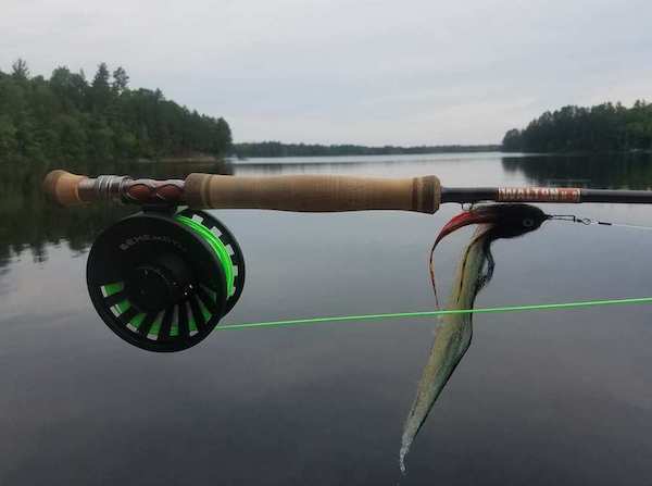 fly fishing muskies