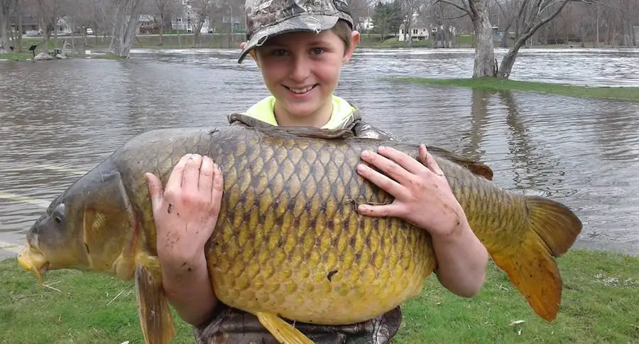 carp state record