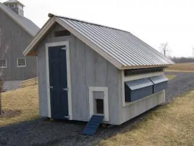 Large Chicken Coop