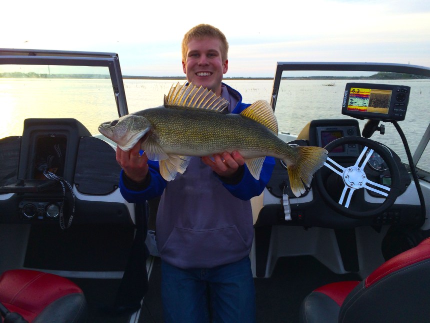 Devils Lake Walleye