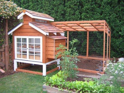 Small Chicken Coop Plans
