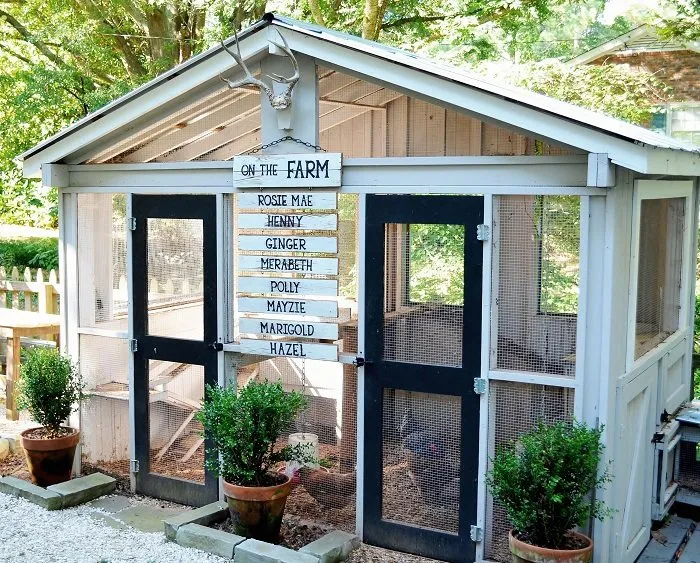 Medium Chicken Coop Plan