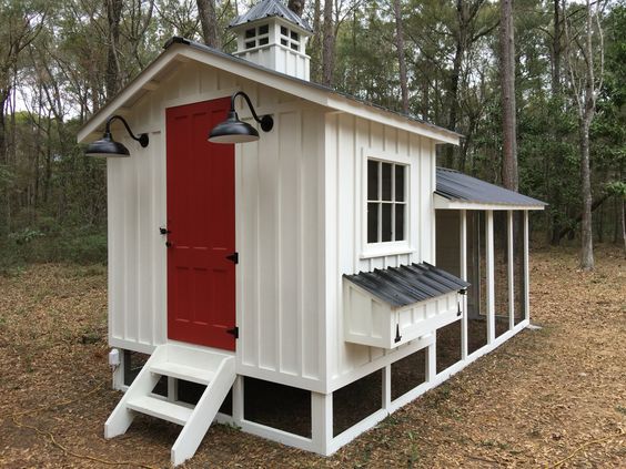 Small Chicken Coop Plans