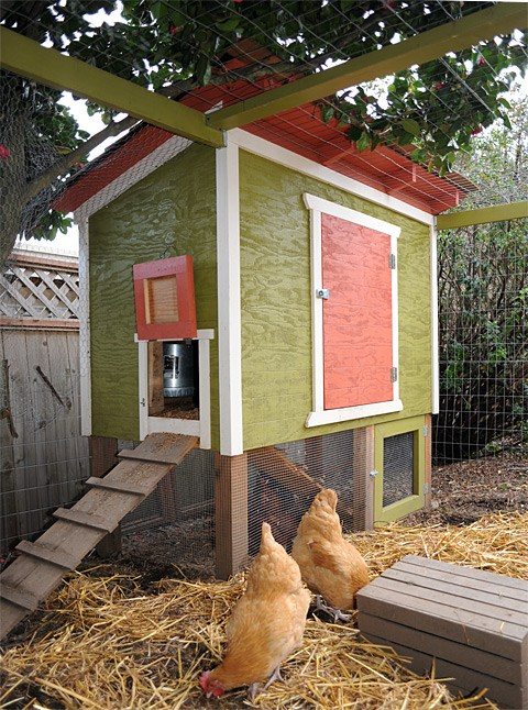 Small Chicken Coop Plans