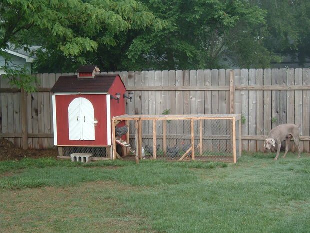 Small Chicken Coop Plans