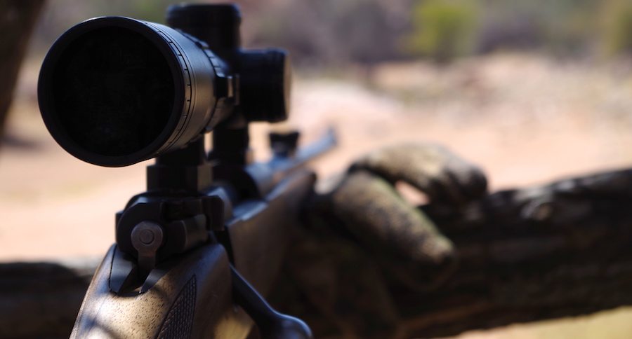 Going On A Hunt In South Africa? Read This Article Before You Fly Through London With Your Rifle