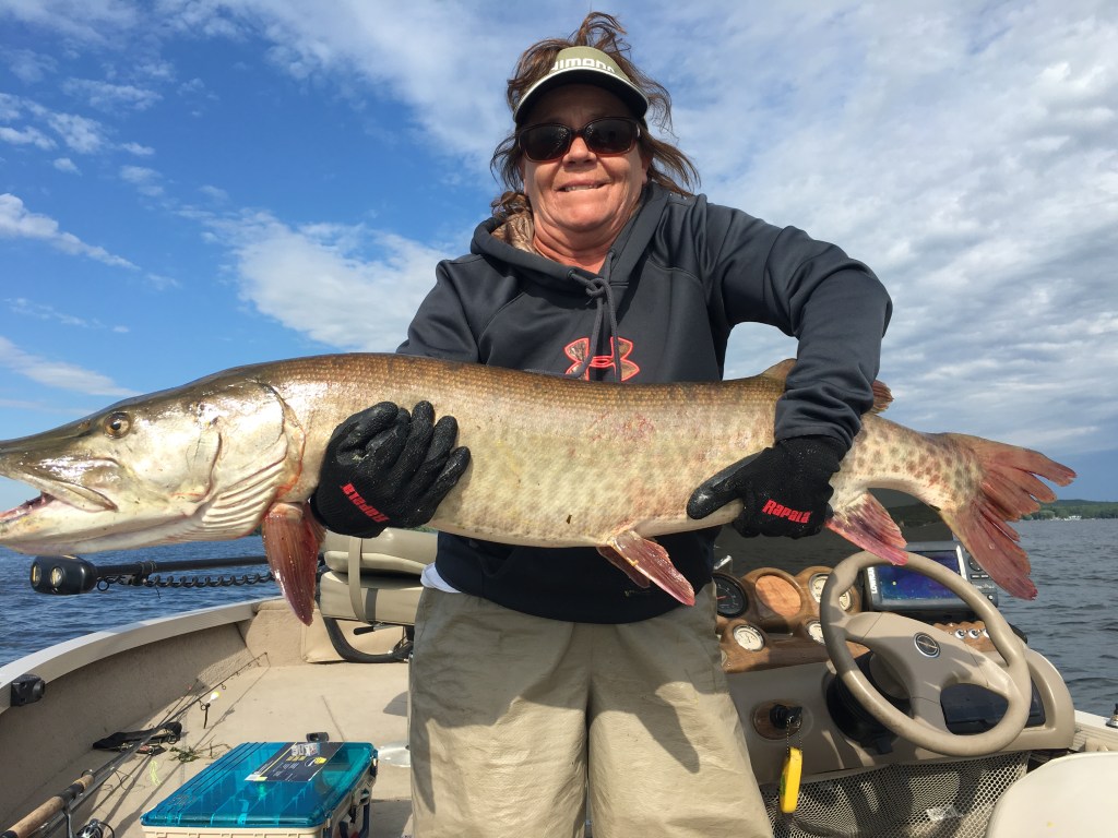 A monster muskie caught in central Minnesota