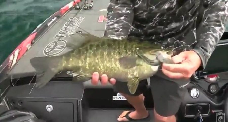 Kevin VanDam