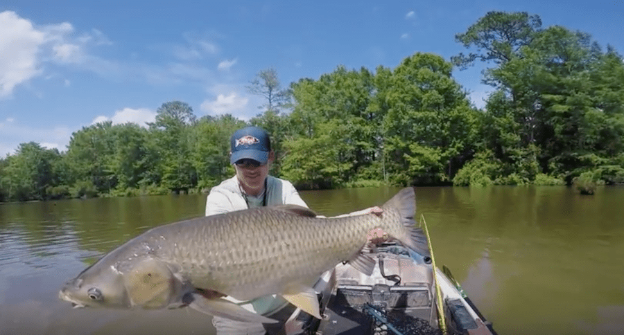 fly fishing for grass carp