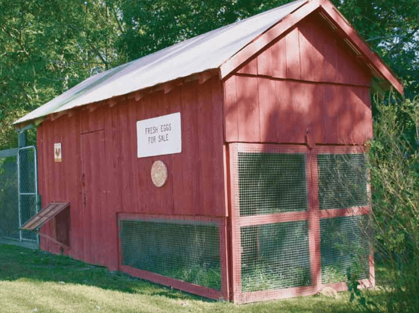 Large Chicken Coop