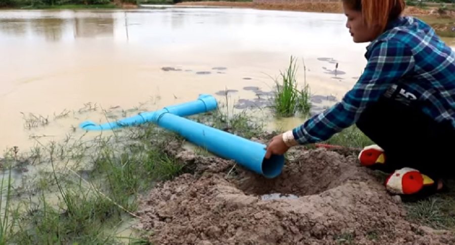 diy pvc pipe fish trap